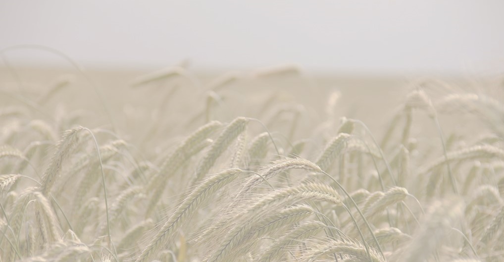 ALRUD experts contributed Russian chapter to the Agricultural Law Global Guide