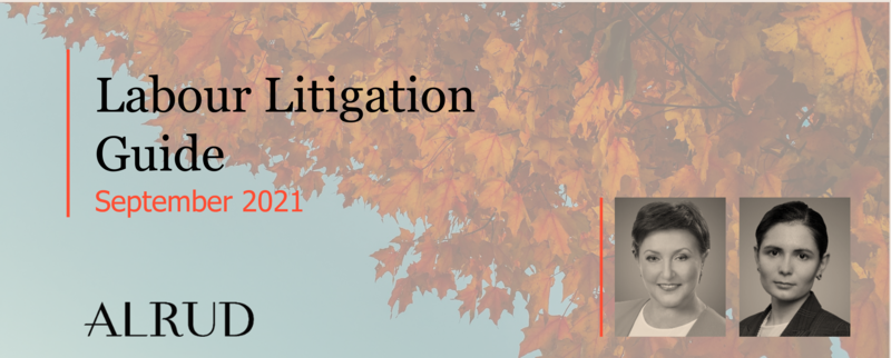 Labour Litigation Guide