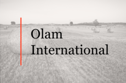 ALRUD advised Olam International on the establishment of a joint venture with Rusmolco and the acquisition of a grain terminal in Azov