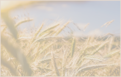 ALRUD experts prepared Russian chapter for Thomson Reuters Agricultural Law Global Guide