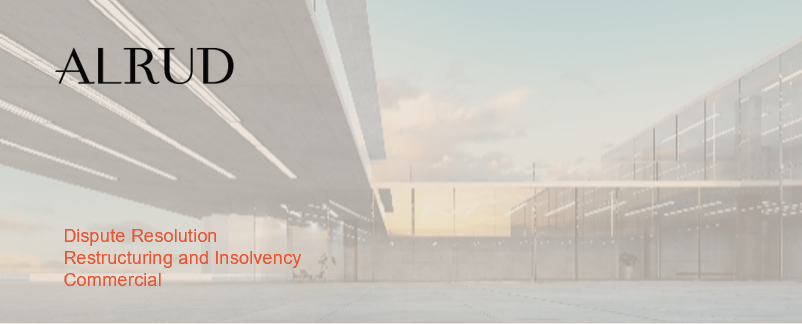 ALRUD lawyers defended the interests of a foreign defendant in a dispute over subsidiary liability and recovery of damages in the bankruptcy of a major glass manufacturer