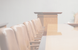 Anastasia Petrova - Co-Chair of AmCham Compliance Committee