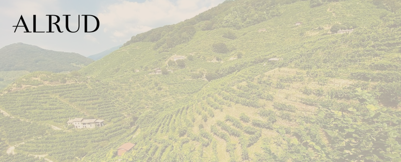 Key Takeaways from ALRUD’s Annual Dispute Resolution Event: Cross-Border Litigation – Challenges and Outlook