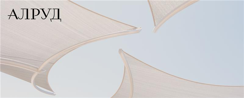 Итоги IX Всероссийского студенческого конкурса по арбитражу корпоративных споров имени В.П. Мозолина