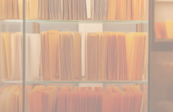 Маргарита Егиазарова выступила на ежегодной HR-конференции АЕБ «Кадровые ресурсы в 2025-м: вызовы, которые мы принимаем»