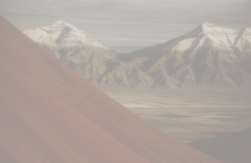 Рынок ИИ-сделок в России: меньше стартапов, но больше денег — что это значит для инвесторов?