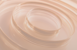 Мария Невежина избрана председателем Комитета по вопросам персонала Российско-Германской внешнеторговой палаты