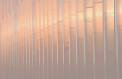 Мария Невежина и Мария Якушева выступили на заседании комитета по комплаенсу в AmCham Russia