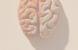 Илья Ходаков выступил на конференции Право.ру: «Интеллектуальная собственность — 2026»