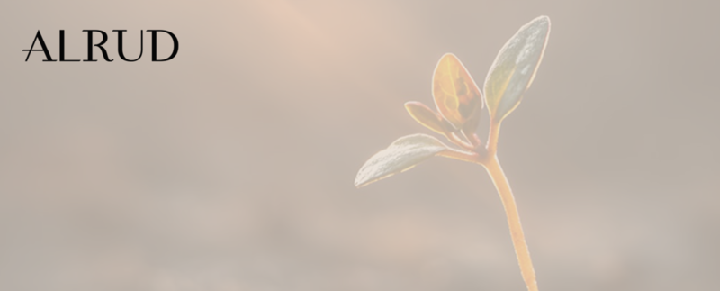 Investing in Russia from “friendly” countries: Navigating risks or unlocking opportunities