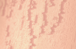 Изменения в КоАП РФ: передача споров в сфере персональных данных мировым судьям и новые штрафы для хостинг-провайдеров