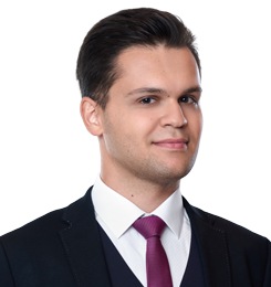 Mikhail Aloian | Associate