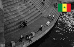 We advised Atlantic SeaFood with regards to the JV project in Senegal, for the development of a fish processing plant.